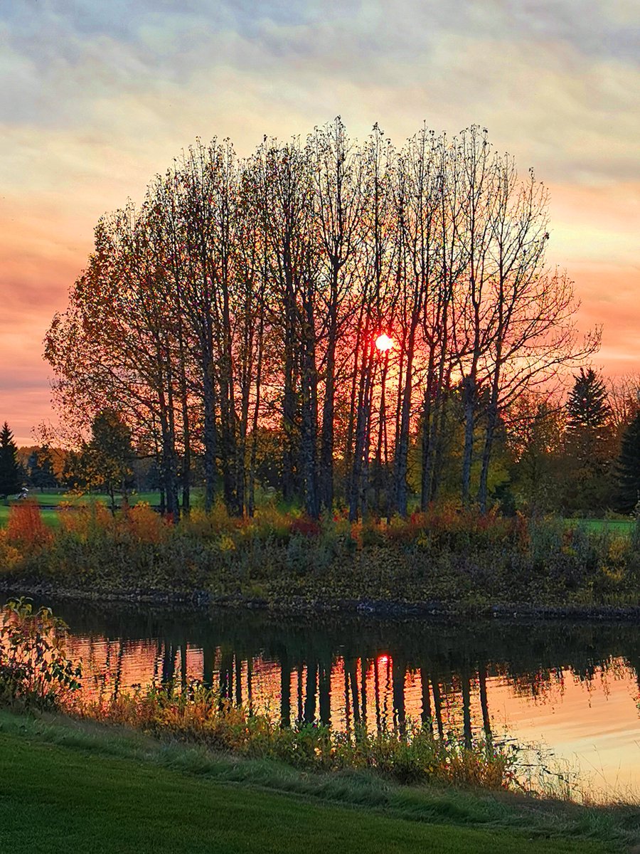 Paul Birnie tweet media