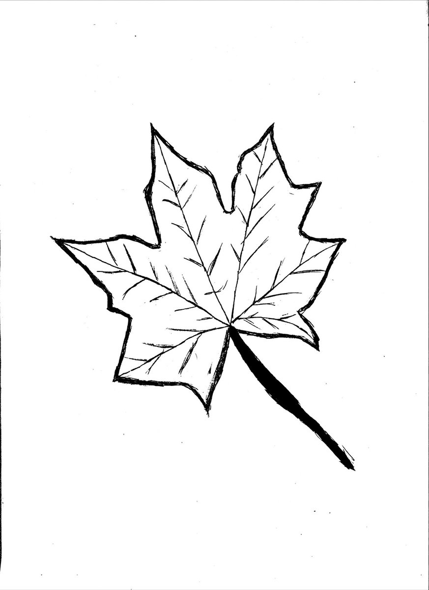 Twoucan Somosmasibero の注目ツイート イラスト マンガ