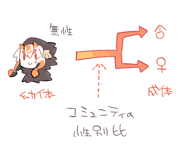 幼体:完全水棲で無性別
成体:所属コミュニティの性比から少ない方を補うかたちで性別を取得
という環境構築次第で性別から光源氏が可能な種族 