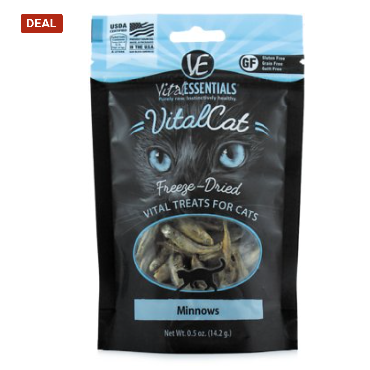 Republicans_25's tweet photo. Raw Cat Food 🐱 PureBites, Vital Essentials, Stella & Chewy's, Primal and more
👉 https://t.co/i3eDwzTltu
#kitty #cat #pets #pet #animals #animal #chewy #rawfood #catfood #onlinepetstore #onlineanimalstore #kittyfood https://t.co/QX3xy3hVPQ