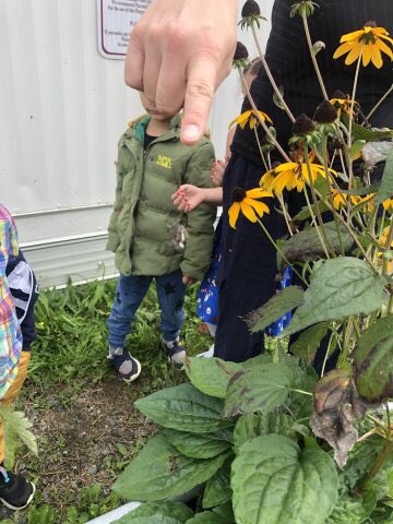 Garden surprises = social and emotional well-being and pleasurable inquiry @CR4YC #pixies #dinosaureggs
@AllansonDarlene #brentwoodpark
https://t.co/Ka6NkznF1F… https://t.co/l7xje76P5M