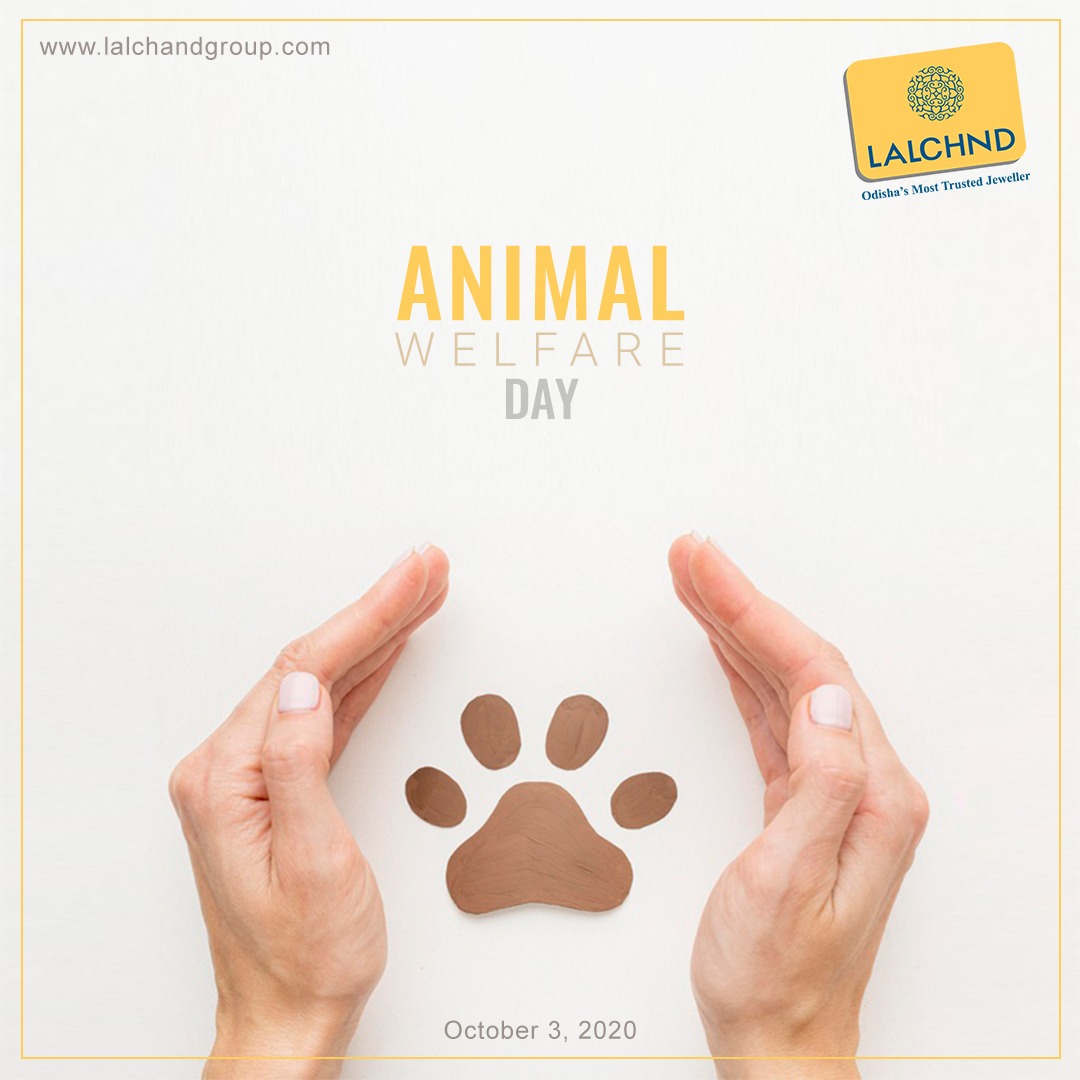 LalchndGroup's tweet photo. Animals are the purest souls and deserve a better habitat on earth where they can coexist with us peacefully.
https://t.co/Illm9Jza8F
#CountlessSmiles #Lalchnd #Charity #Humanity #Hope #COVID19 #India #AnimalWelfare https://t.co/N202Jr06jo