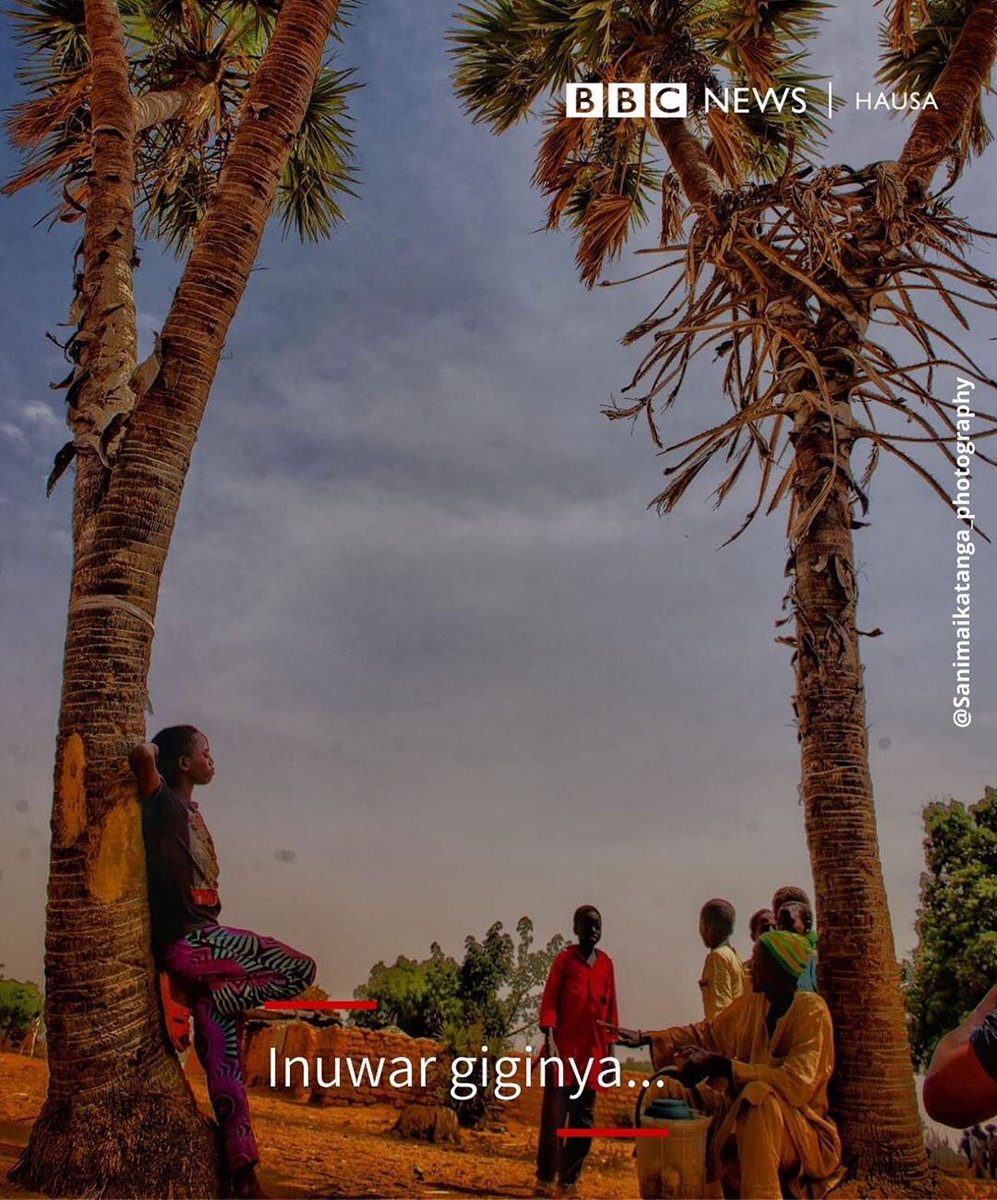bbchausa's tweet photo. Me Bahaushe yake nufi, idan ya siffanta mutum da inuwar giginya? https://t.co/MBCv8L0adQ