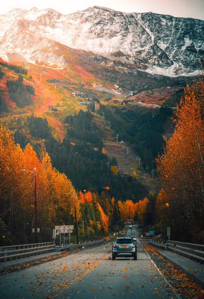 BLACKGYPSYMERM1's tweet photo. I hate it here but I absolutely love it here!πππππ
#MyAlaska
#Alaskanbeauty
#907
#ragecity https://t.co/OGvs4HUd76