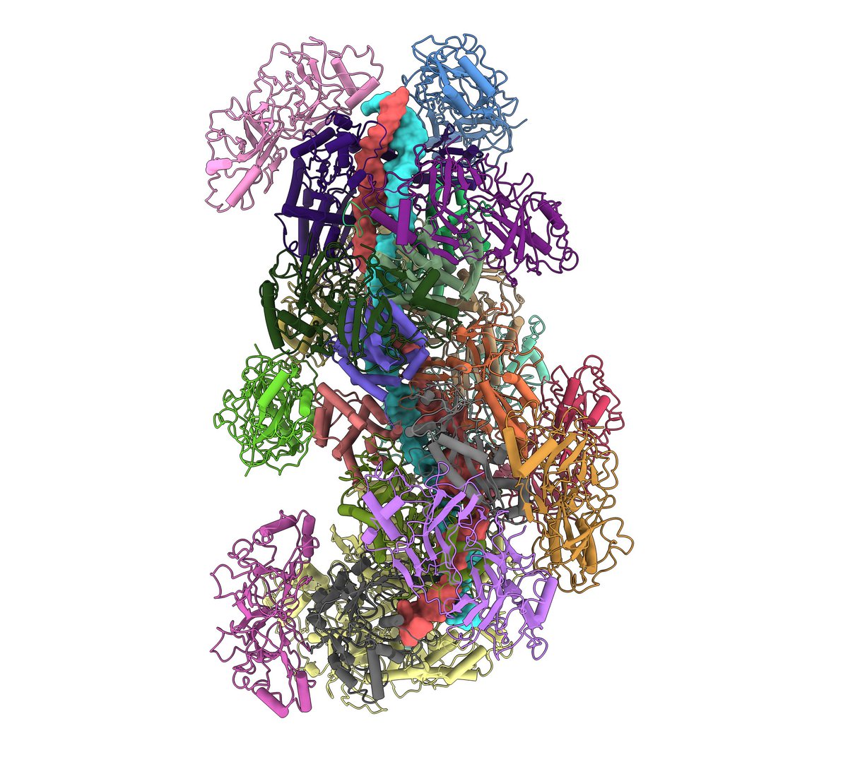 Dear all, 
please retweet 

We are opening a postdoctoral position in my group.  The project will combine biochemistry and #cryoEM  on CRISPR-Cas complexes. If you are interested contact me or lotta.avesson@cpr.ku.dk
