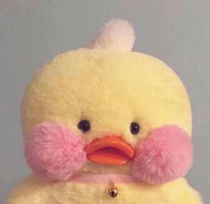 ⇢seo changbin as this cute duck plushie with big cheeks ; a thread*ೃ