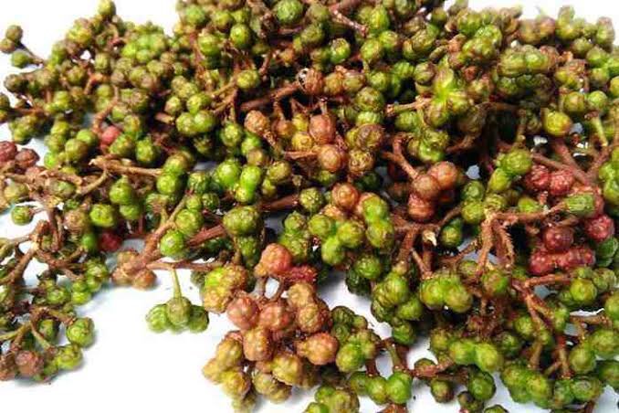 No. Andaliman sering dijadikan terjemahan Lada Sichuan, tapi sebenarnya beda.Andaliman yang banyak tumbuh di Sumatera Utara itu Zanthoxylum acanthopodium, sedangkan Lada Sichuan adalah Zanthoxylum piperitum. Saudara dekat tp gak sama.  https://twitter.com/semangcotton/status/1312255375127703552