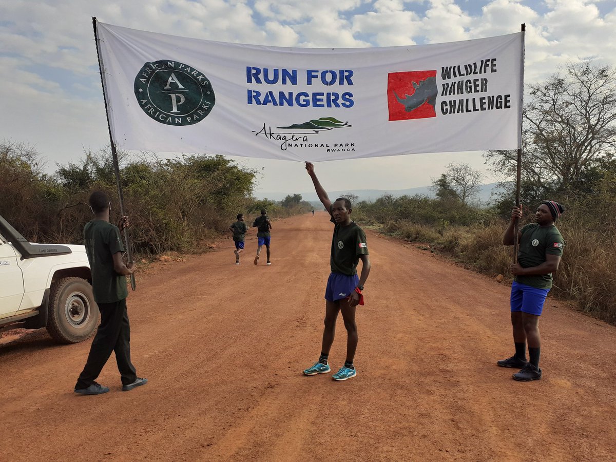 AkageraPark's tweet photo. Well done Fabrice Uwizeyimana!!  First to the finish line for #TeamAkagera 21kms in 1 hour 21 minutes #WildlifeRangerChallenge https://t.co/0cznA0Pw4g