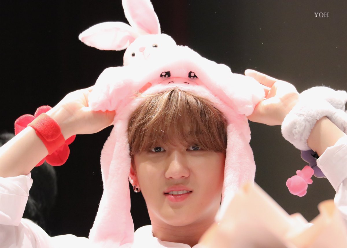 ⇢seo changbin as this cute duck plushie with big cheeks ; a thread*ೃ