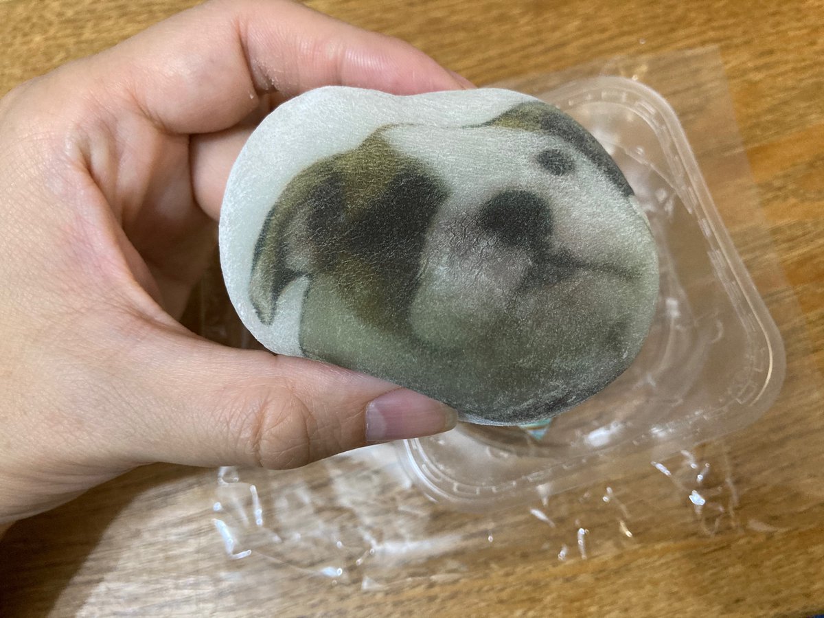 Happy_Printers's tweet photo. 本日終了予定だったフードプリンター体験イベント🍪ですが、泣きの1回！？開催します。

10/6（火）がラストとなります。体験しそびれてる方はぜひこの機会に！

お持ち込みの食材でもOKです❗️

モチモチ感がかわいいブルちゃんは、大福に😆
可愛くて食べられない仕上がりになりました！ https://t.co/S9hbZPIqLs