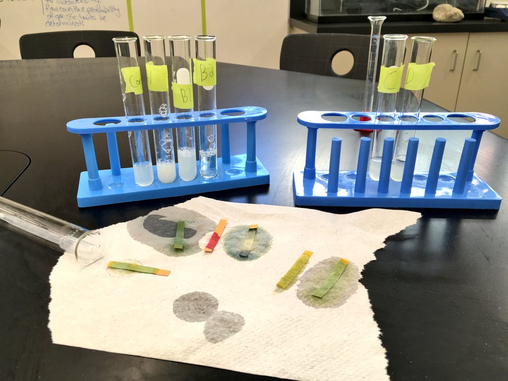 D_C_Nielsen's tweet photo. Today at @StJohnsSociety we were denaturing egg whites in #IBDPBio by using an acid, a base, an ionic compound solution, and heat from a water bath. Can you guess which test tube had what test? π§ͺπ₯Όπ©βπ¬π¨βπ¬ #InquiryLab #ScienceRules #SJSScience #Biology #Biochemistry https://t.co/btLBJdZGSd