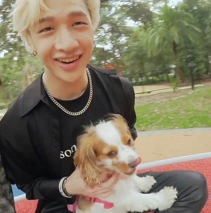 Сиба-ину фото. Han hyo joo. Ками хенджина. Ппама джисон. Всегда (фильм корея 2011) фильм.