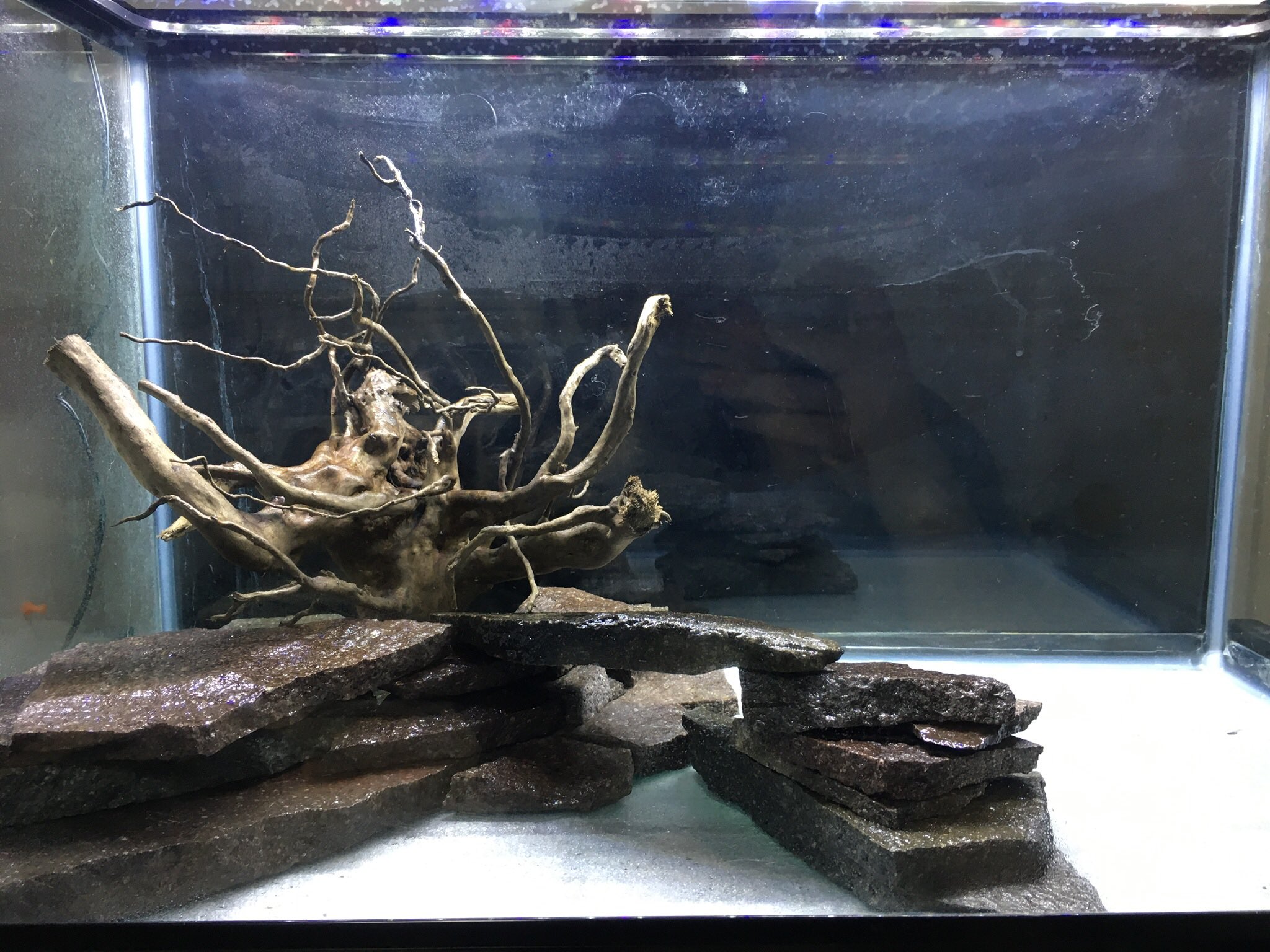 水槽ボーイ 石組みいい感じ アクアリウム 水槽 流木 輝板石 T Co Sobskeagib Twitter