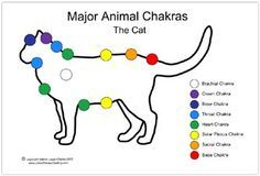 HHMU_Banksia's tweet photo. #ItsReigningCatsAndDogs
#ForeverFriendsWeSee
#AllOneGreatFamilyTREE
#CrownChakra ~> #Sovereignty!
#TheRainbowBridge2YEWnity!
@gladhill_in @Ladylazarus78 @dandy_iv @Zoompad @redfeatherheat1 @HummingbirdPass @mikecoulson48 @LoriFrey15 @lynnpotter11 @H46688622Hawk @DuncanHarkis https://t.co/WPS7xYBmQC