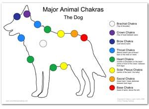 HHMU_Banksia's tweet photo. #ItsReigningCatsAndDogs
#ForeverFriendsWeSee
#AllOneGreatFamilyTREE
#CrownChakra ~> #Sovereignty!
#TheRainbowBridge2YEWnity!
@gladhill_in @Ladylazarus78 @dandy_iv @Zoompad @redfeatherheat1 @HummingbirdPass @mikecoulson48 @LoriFrey15 @lynnpotter11 @H46688622Hawk @DuncanHarkis https://t.co/WPS7xYBmQC