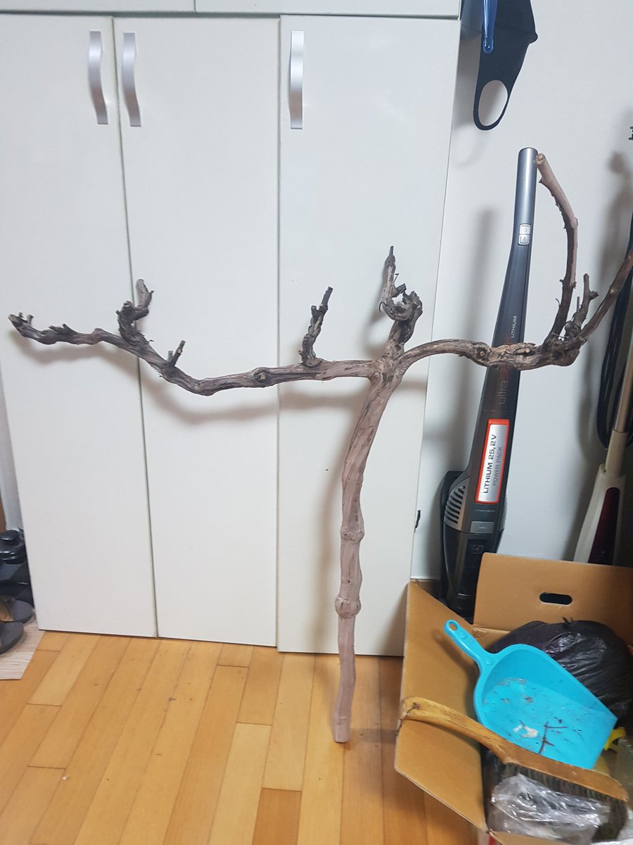 횃대 또 만들어야징