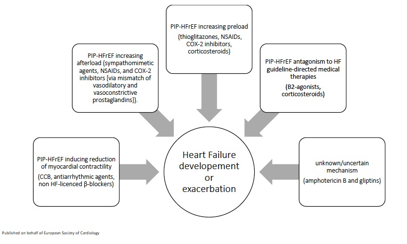 European Society of Cardiology Journals (@esc_journals) on Twitter photo Which medications should be avoided in patients with #heartfailure with reduced ejection fraction? A review. bit.ly/33oU0ZP
<a href="/AgewallStefan/">Stefan Agewall</a>
#EHJPharmacotherapy #HF Which medications should be avoided in patients with #heartfailure with reduced ejection fraction? A review. bit.ly/33oU0ZP
<a href="/AgewallStefan/">Stefan Agewall</a>
#EHJPharmacotherapy #HF