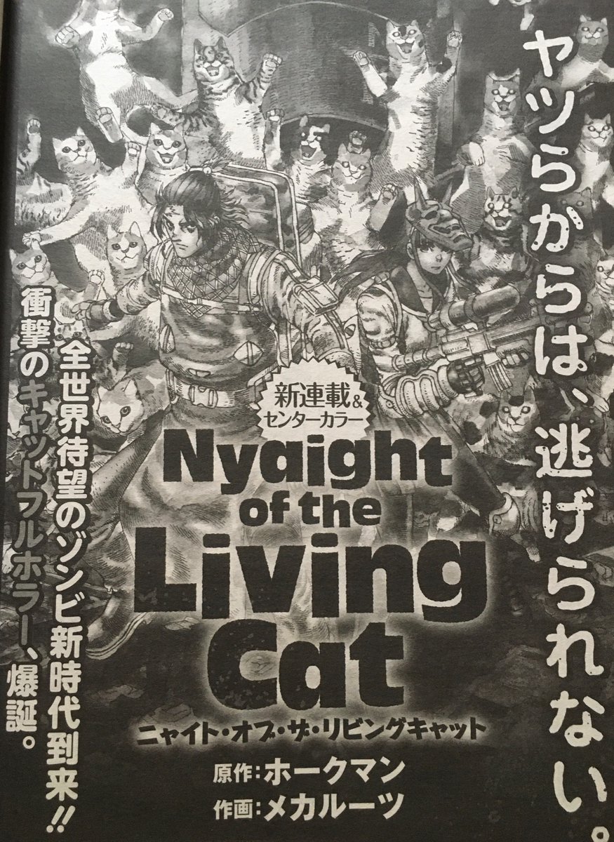 新連載の『ニャイト・オブ・ザ・リビングキャット』
10月5日発売のコミックガーデンに掲載されます〜
メカルーツって僕(つるかめ)のことなんでよろしくお願いいたします〜!

ちゃんと宣伝した!えらい! 