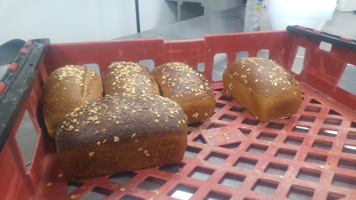 JuliaHHeslop's tweet photo. The first bread baked from wheat grown in #Newcastle for (probably) 100 years. As part of Shieldfield Wheatfield by @SAWnewcastle @edibleurban @ArtisanBakingNE Anyone know when the last wheat was grown in Newcastle before this? @northumbriana ? https://t.co/9uuGxRIYea