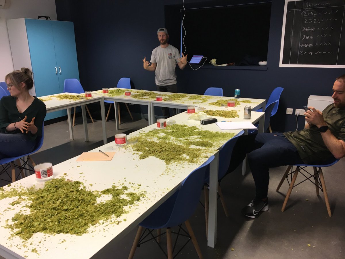 Is there a better way to spend a Friday night than hop selection? I think not.