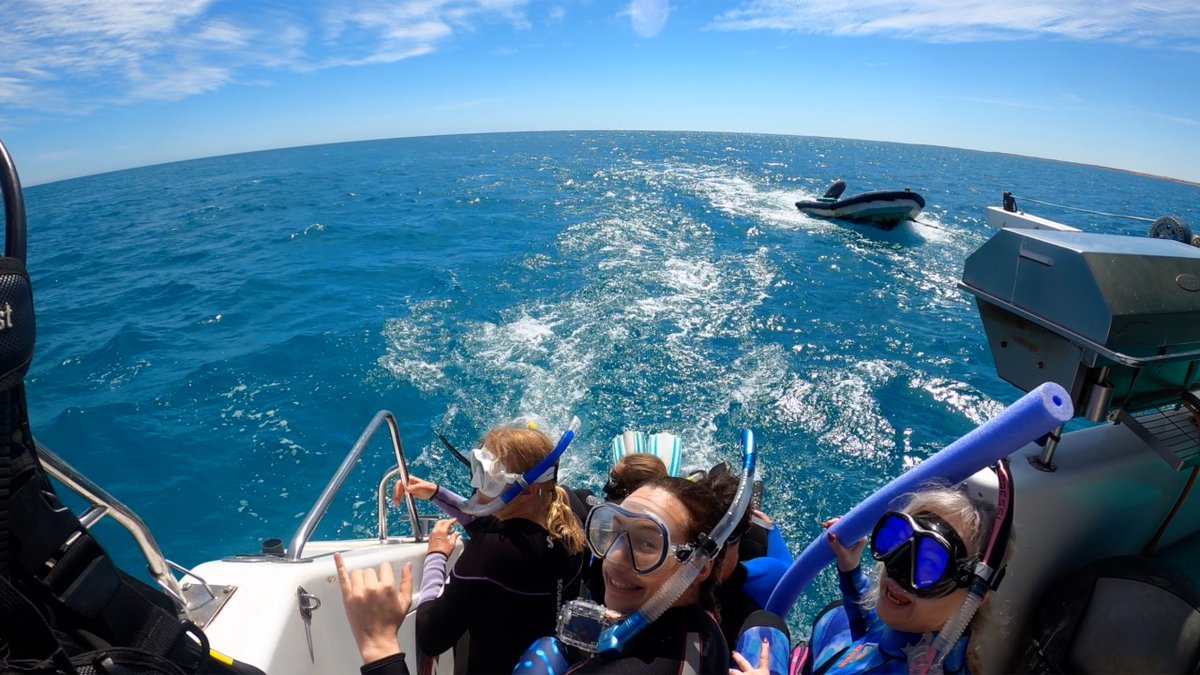 SailNingaloo's tweet photo. Eager beavers waiting to be dropped in for a manta swim 🏊‍♀️🏊‍♂️

#Ningaloo #SailNingaloo #ThisIsWa #coralbay #exmouth #seeAustralia #westernaustralia #justanotherdayinwa #visitningaloo #wanderoutyonder https://t.co/gtopKgjOKz