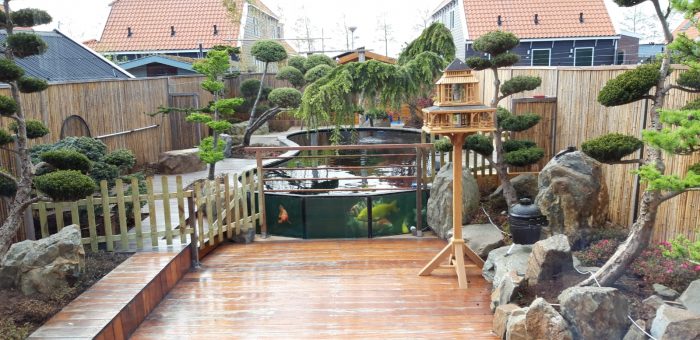 KoiQuestion's tweet image. Najaarstip: bomen planten in de herfst is ideaal - koiquestion.com/2020/10/02/naj… |bomen planten, Herfst, misimar, Nederkoi