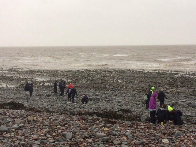 OPS_Headmaster's tweet photo. Well done Year 7 girls working together to find fossils on Kilve Beach #kilvecourt ⁦@OPS_OratoryPrep⁩ https://t.co/oH50wspLgv