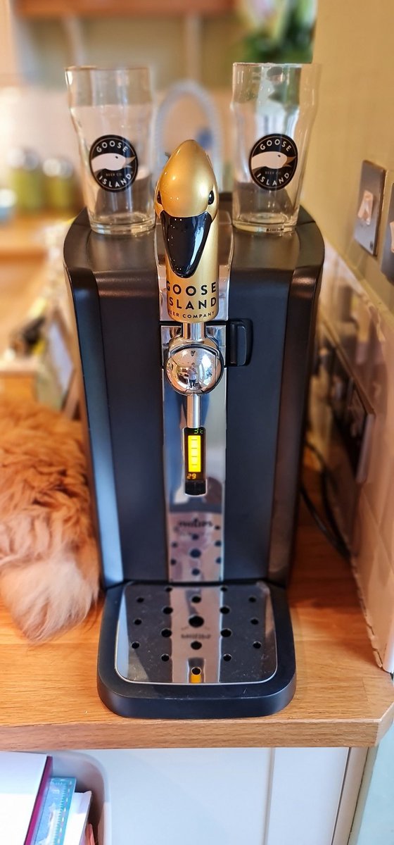 Matt Pierce tweet media