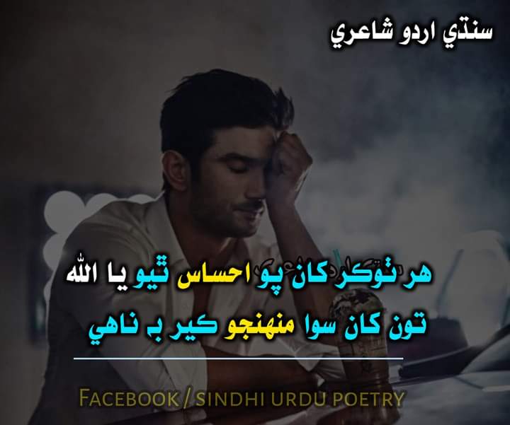 MullanMajeed's tweet photo. سنڌي ڀائرن کي گذارش آھي ته فالو ڪيو وري اوھان کي بيڪ فالو ملندو https://t.co/XuryDkSHx2