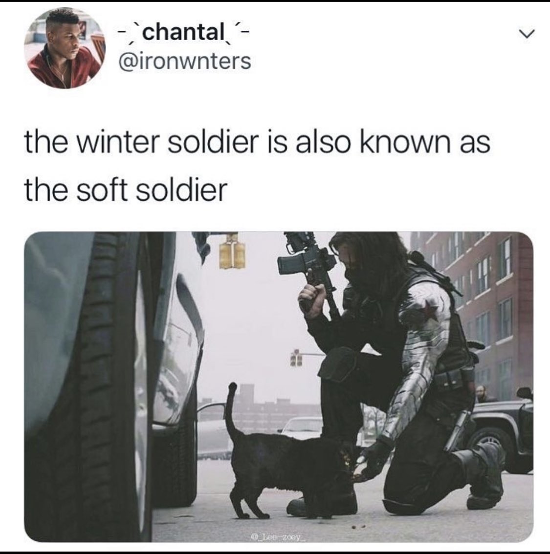 MoonlightsMuse's tweet photo. #WinterSoldier
#WinterKitty
“Not now little one, it’s mission time.”
“Meow”
“OK, maybe just a quick little chin scratch. Don’t tell Pierce.” https://t.co/hsKWbI6K7v