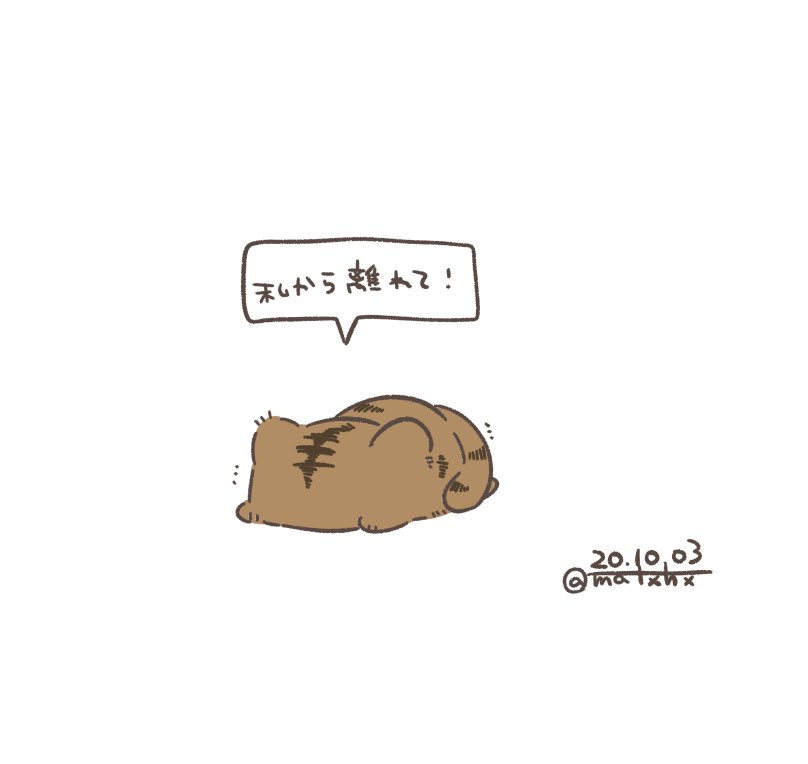 トラチャンに近寄らないでください🐯 