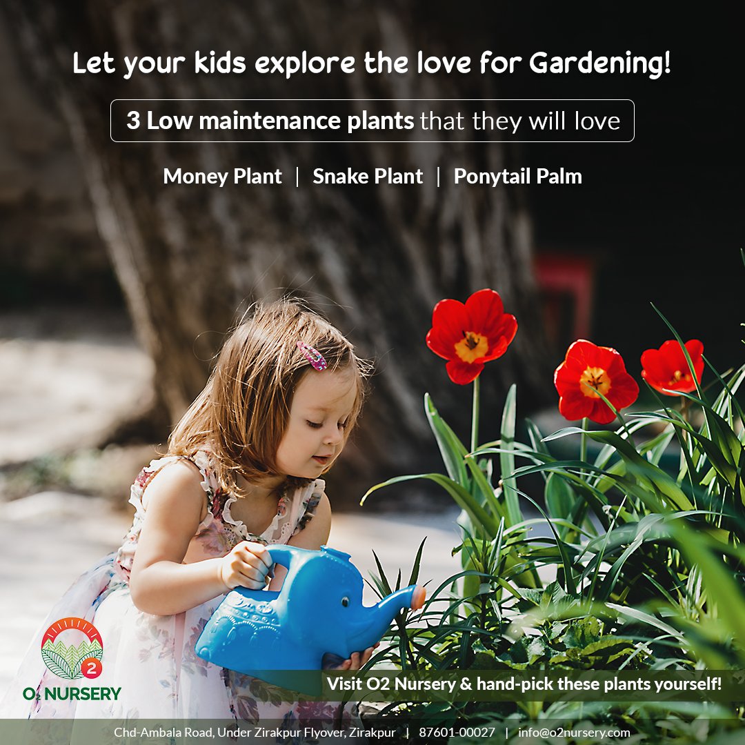 O2Nursery's tweet photo. Getting out and about in the garden is a nice way to spend time with your children.
To know more about us,
π Visit us: Chd-Ambala Road, Under Zirakpur Flyover,
π call us at 87601-00027
#O2Nursery #IndoorPlants #Gardening #Plants #KidsGardening #Children #GardeningwWithKids https://t.co/TjKCuQ2bAI