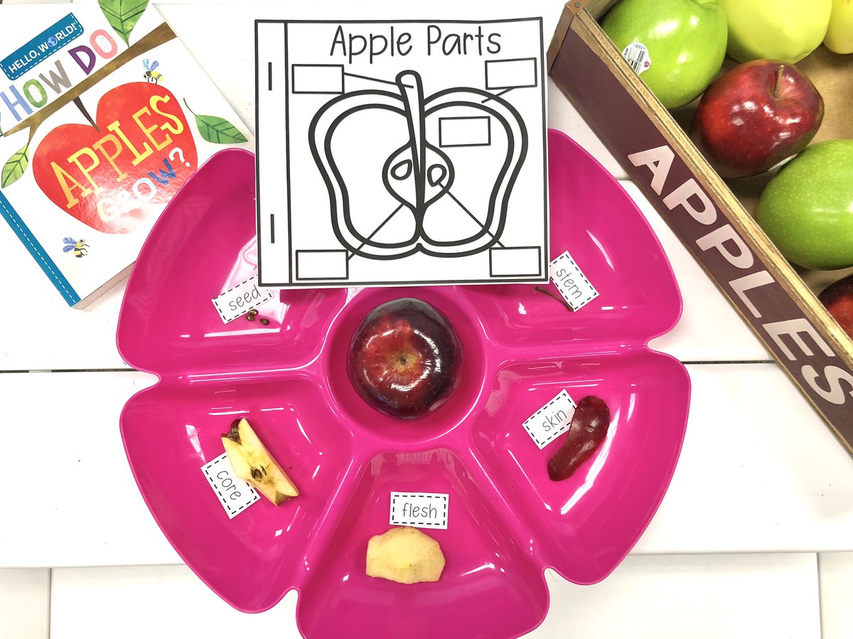 Investigating Apples with our Seed by Seed unit. bit.ly/PGApplesandApp…