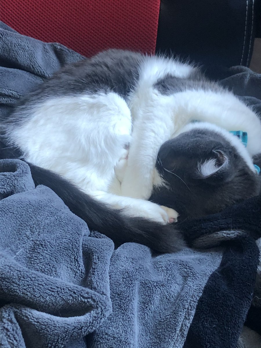 Just DM Things tweet media