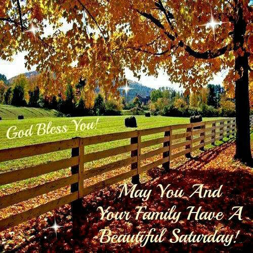 SctechSolution1's tweet image. Rest well people.