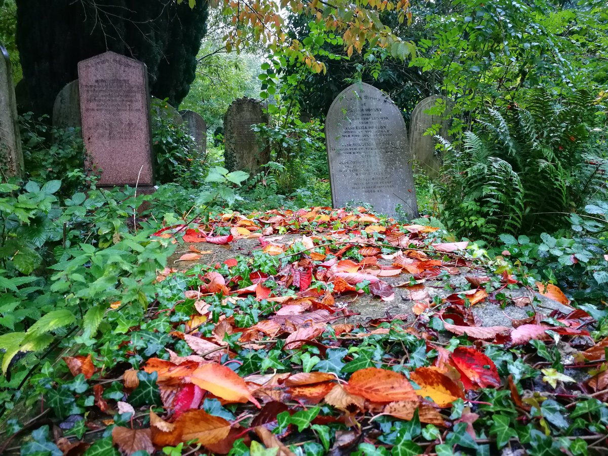 Friends of York Cem tweet media