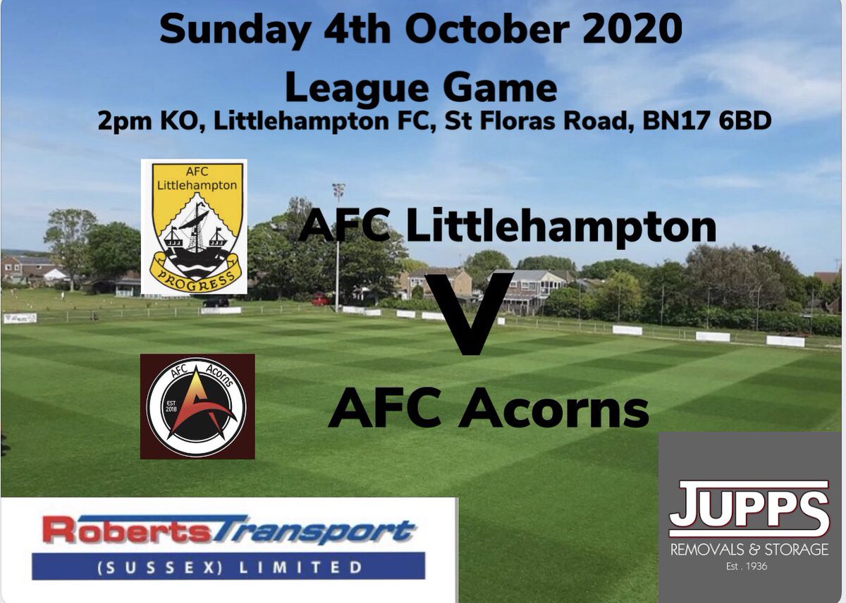 AFC Littlehampton Ladies tweet media