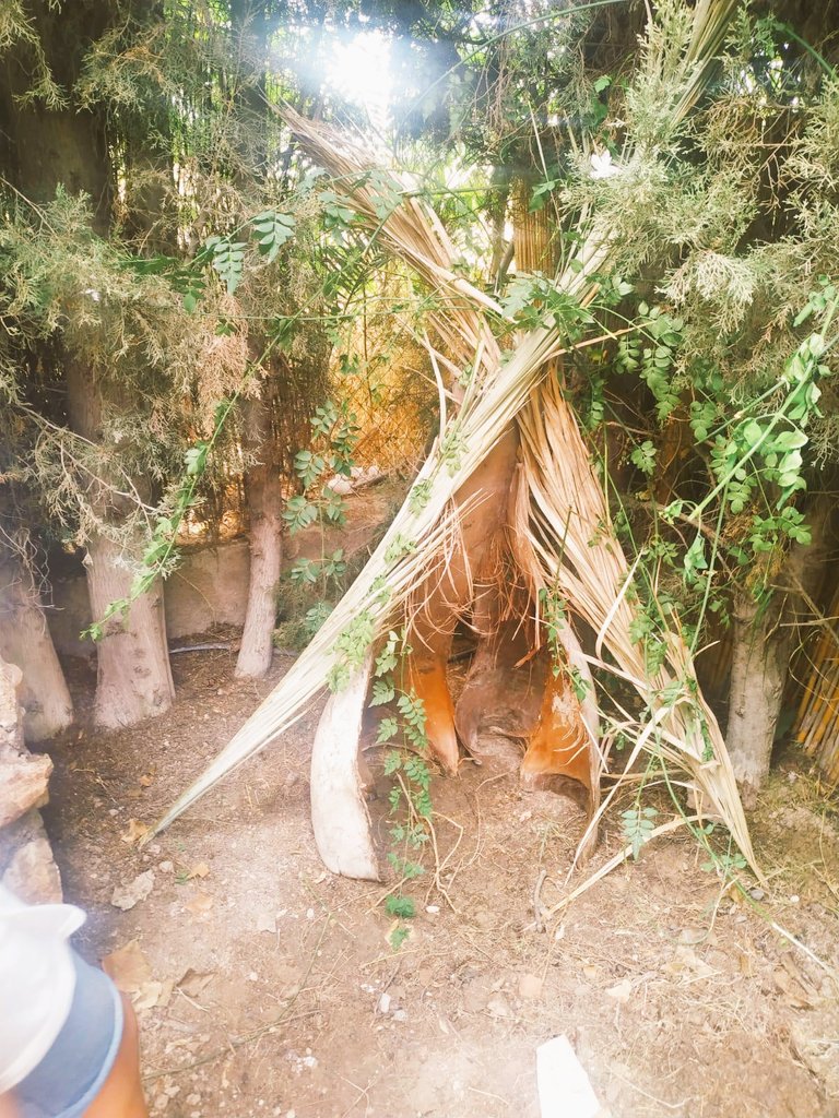 cuatronaranjos's tweet photo. ¿Hay algo mejor que aprender la historia que tratando de vivirla? Comienza el proyecto de Historia para los mayores donde darán un largo paseo por todas sus etapas hasta llegar a nuestro mundo en la actualidad. 

Primera parada: la #PreHistoria. https://t.co/tf9gcOUqeo
