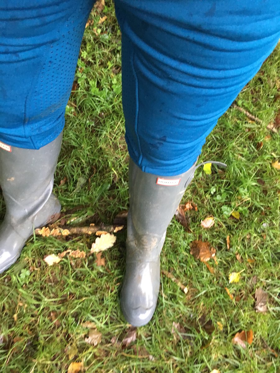 MudMartin's tweet image. Bit damp out today so it’s gloss grey hunters and jods for me today just how I like it