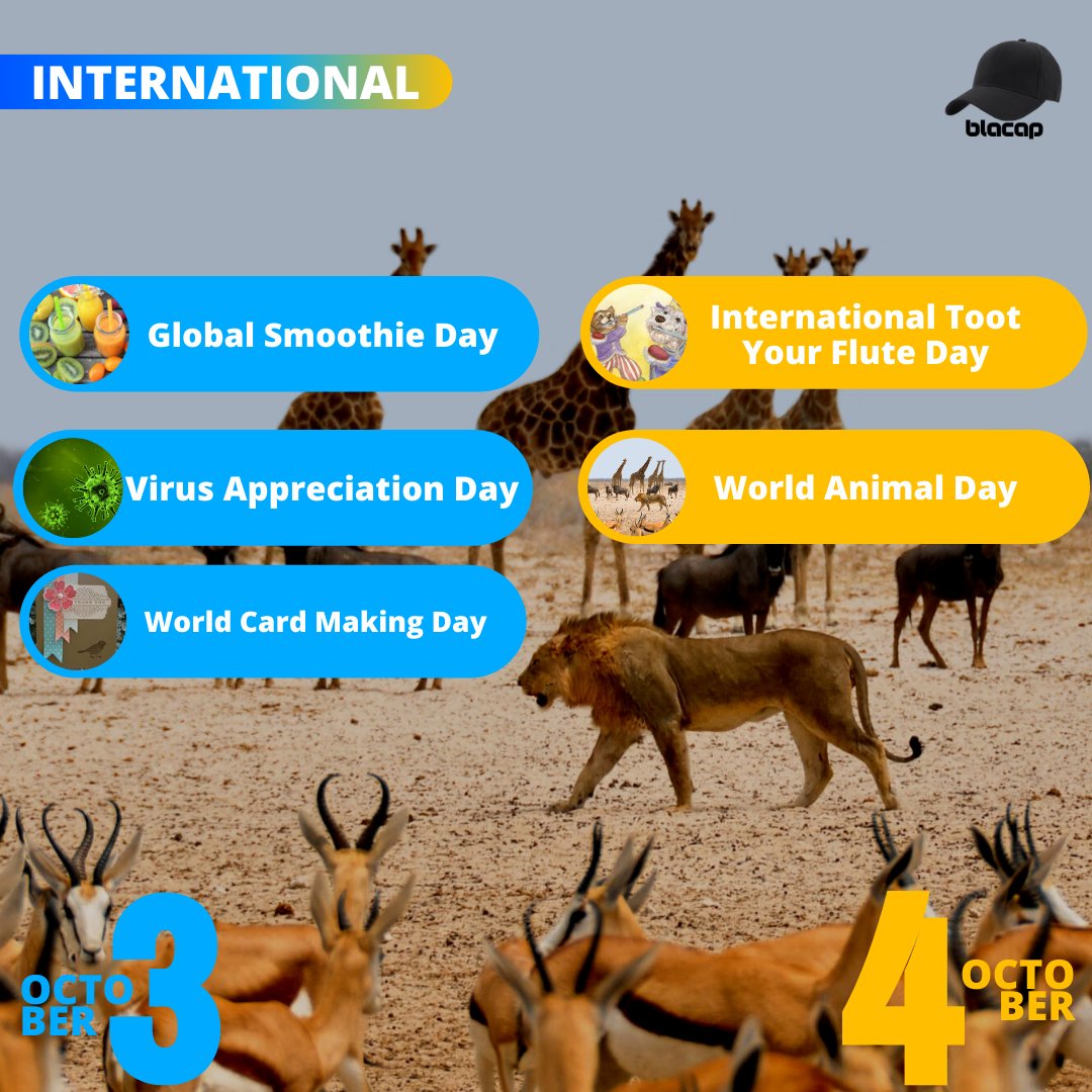 arvindiolaAD's tweet image. Oct 3:
#GlobalSmoothieDay
#VirusAppreciationDay 
#WorldCardMakingDay