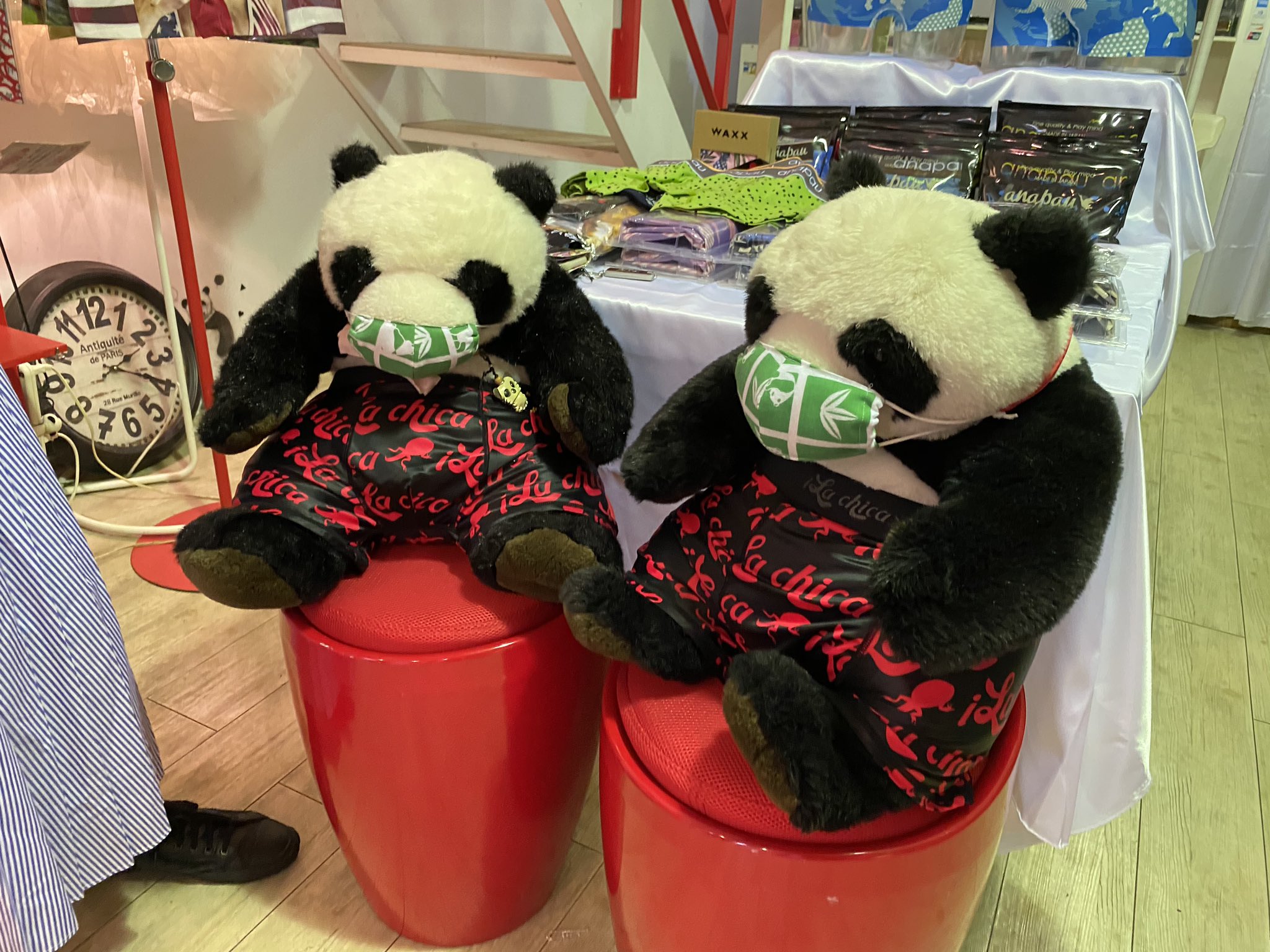 毎日パンダ 今日は急用で福井に行ってまいりました 新栄ぱんだ 祭でお世話になりました ボクサーパンツ専門店のラーナニーニャさんにもお邪魔してきました 店内パンダ尽くしの楽しくてお洒落なお店です 福井の恐竜 と パンダ がコラボしたパンツをゲット