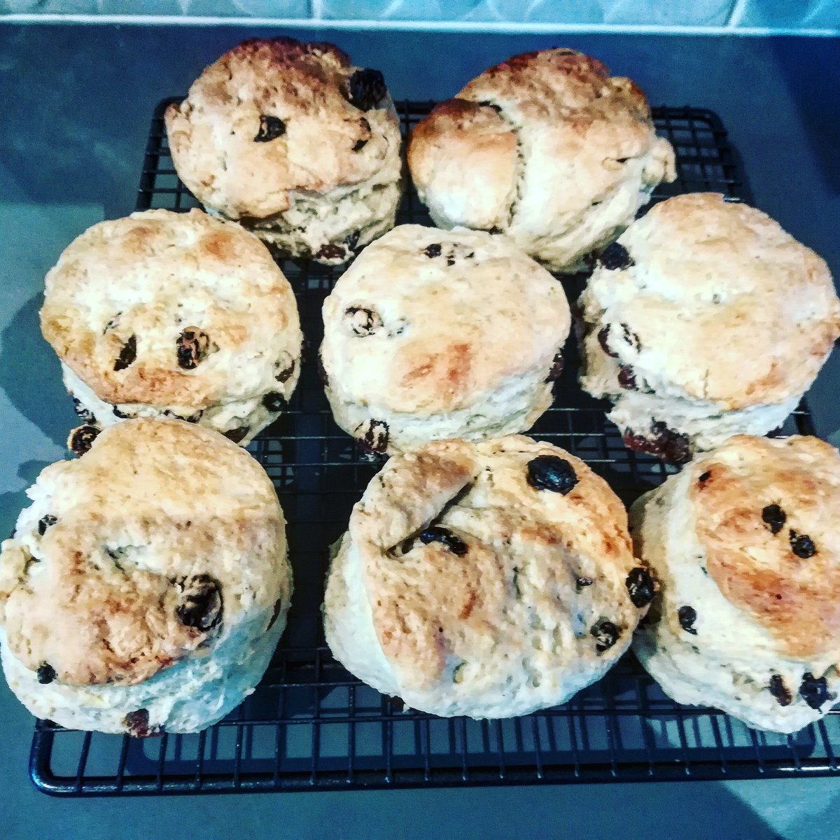 #homebaked #sultana #scones just out of the oven. So easy to make... If I can do it anyone can! Goes great with some raspberry or strawberry jam😋😋😋#vegan #vegancooking #baking #veganrecipes #veganbaking #veganlife #eatplants #plantbasedbaking #leckertastyandvegan #eatvegan