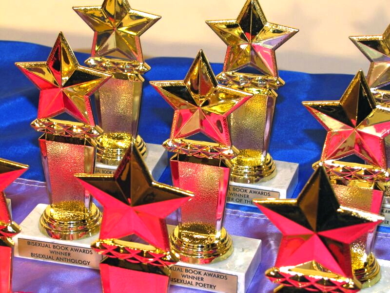 Bisexual Book Awards tweet media