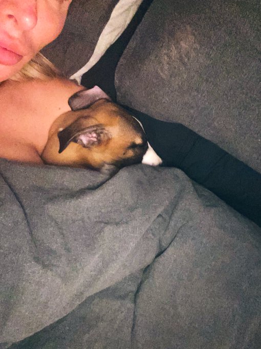 Isn&rsquo;t my baby boy the cutest ! Seriously all this lil man wants to do is cuddle with me 🥺🥺🥺🥺 https://t<a href="/tag/marissaminx"class="tags"><span>#marissaminx</span></a>