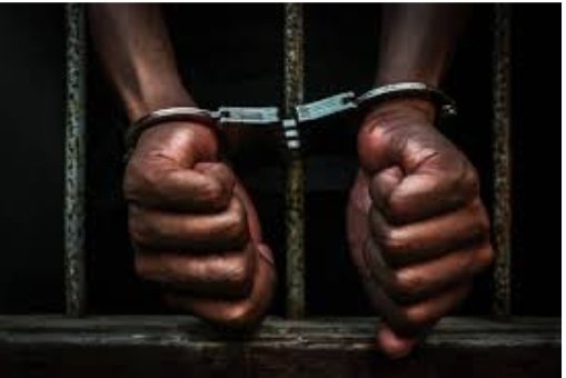 NuBlackVision's tweet photo. @KhemeticChurch Under former #PresidentBarackObama the incarceration rates for Black men &amp; women dropped each year of #TheObamaAdministration &amp; hit their lowest point in over 2 decades. The imprisonment rates of Black men &amp; women reached their lowest points since the 80's &amp; 90's that's nothing🤷🏿‍♂️ https://t.co/bbVrzqh63B