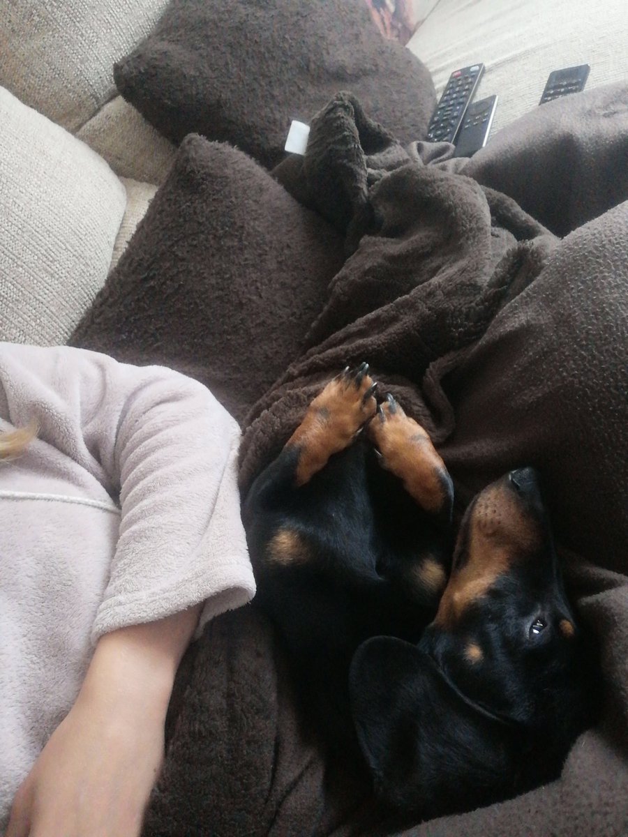 Sam_Colman24's tweet photo. When your plans are cancelled because of the weather...this is how we are going to do Saturday today https://t.co/qpw9KOJs4z