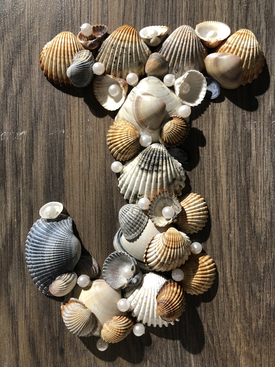 LealOlmo's tweet photo. Good morning #WritingCommunity yesterday I was doing crafts. #seashellcrafts #Seashells #crafts https://t.co/RDo0iuf4fq