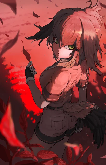 ハシビロコウ #けものフレンズ 