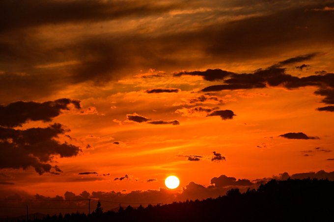 空が綺麗のtwitterイラスト検索結果