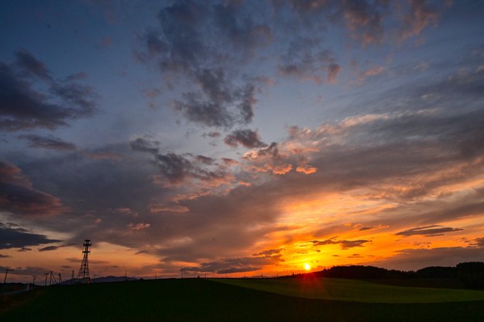 空が綺麗のtwitterイラスト検索結果